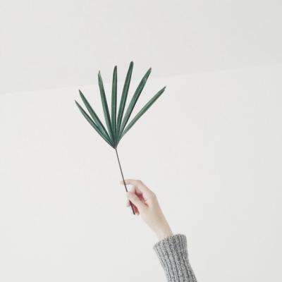 神之领域无敌版