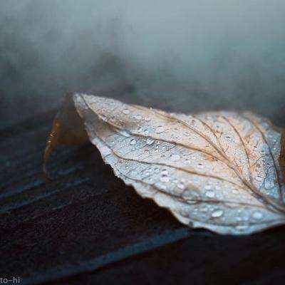 少年骇客独闯新世界