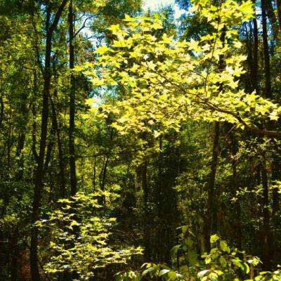 你有一张幸运的脸吗